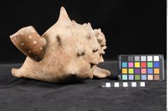 Foto (Seitenansicht) von Trinkgefäß (NHMW-ZOO-MO-0081100-ETH-127)